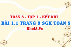 Bài 1.1 trang 9 SGK Toán 8 tập 1 Kết nối tri thức